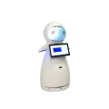 Interactive Talking Toy Robots for Museum