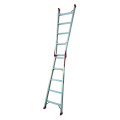 "A" Type or A Long Straight Ladder