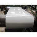 Prepainted Gi Steel Coil / PPGI