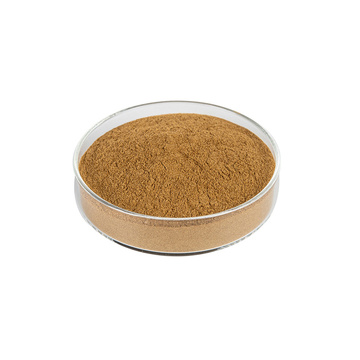 White button mushroom extract 10%-50% Polysacchrides