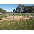 Galvanized Movable Horse Fence for Farm Animal