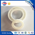 High Precision OEM Plastic Bearing (608) Competitive Price