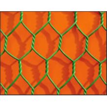 Sechskant-Mesh-Mesh / Gabion Mesh für Geflügel