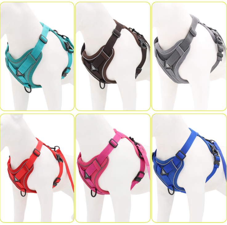 Dog Harness And Leash Set Designer Dog Harness And Leash Set Designer