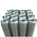 Hot Dip Galvanized Welded Wire Netting