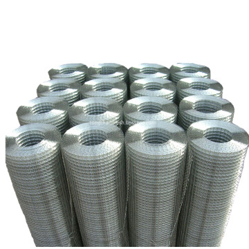 Hot Dip Galvanized Welded Wire Netting