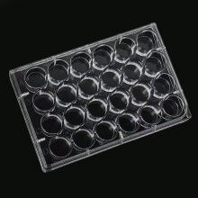 24 well tissue culture plate surface area