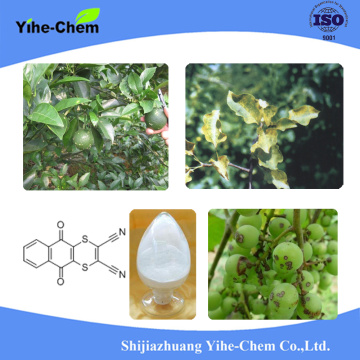 Dithianon excellent pesticide agrochemical