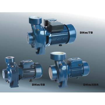 Centrifugal Pump of High Flow Rate (DHm series)