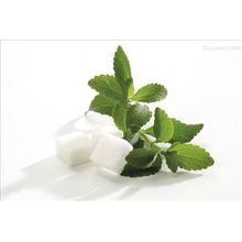 Extracto de hoja de Stevia estándar de GMP de alta calidad para Sweetner