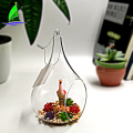 Glass Terrarium Container Geometric Glass Terrarium