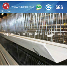 Hens Chicken Cage / Chicken Layer Cage / Chicken Farm Poultry Farm