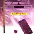 Best COB LED Grow Light Dual Switch