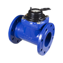 Detachable Woltman Water Meter (cast iron head)