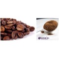 Instant Coffee Spray Dried Bulk Packing