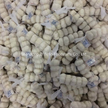 6.0-6.5cm Fresh Pure White Garlic