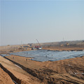 Dyke Dam Seepage Control Geomembrane HDPE 1.0mm