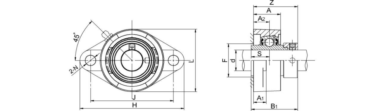 2 Bolt Flange Bearing Units NAFL200 series 