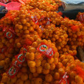 Mandarine orange