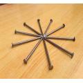 Common Round Iron Nail for Construction