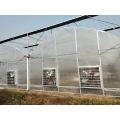 Large Plactic Greenhouse For Vegetable Flowers