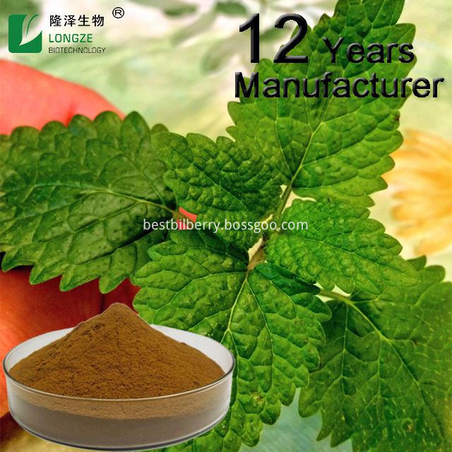 Lemon balm Extract Powder(1)