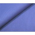 196t Tissu en nylon nylon Taslon pour vêtement (XSN-005)