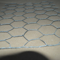 Galvanized Hexagonal Wire Mesh