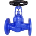 Aço fundido DN15-300 Bollows Selled Globe Valve