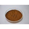 Herbal Epimedium Extract Powder