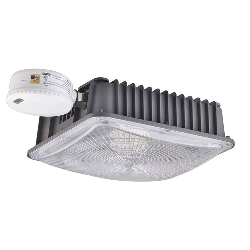 Garage Light with Motion Sensor (17)