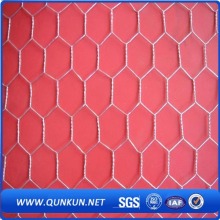 Alta Qualidade Hexagonal Wire Mesh Fabricante