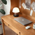 Wood Computer Desk with File Cabinet in Home