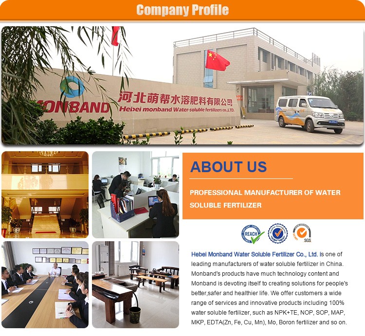 monband company