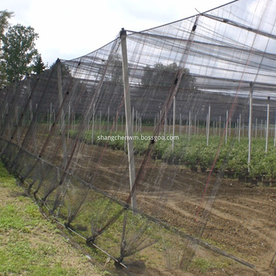 Greenhouse Net