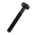 wholesale T-Bolt Nut Galvanizing T Bolt Black