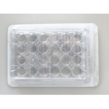 Tissue Culture Plates 24 Well