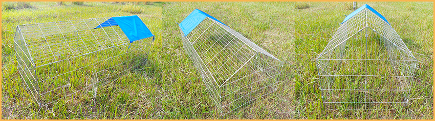 wire chicken kennel