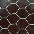 Galvanized Hexagonal Wire Mesh