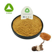 Tiger Milk Mushroom Powder Lignosus Rhinocerus Extract