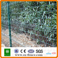 Decorative Metal Garden Fence