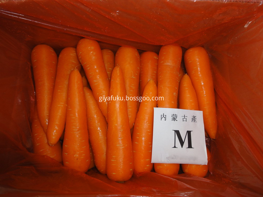 Fresh carrot 