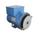 Brushless Lower Voltage Generator Electric Diesel