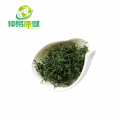 Gynostemma Plant Extract Gypenoside 80% 98%