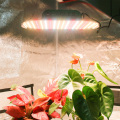 1000 watts Grow Light LED lampe pour fleur