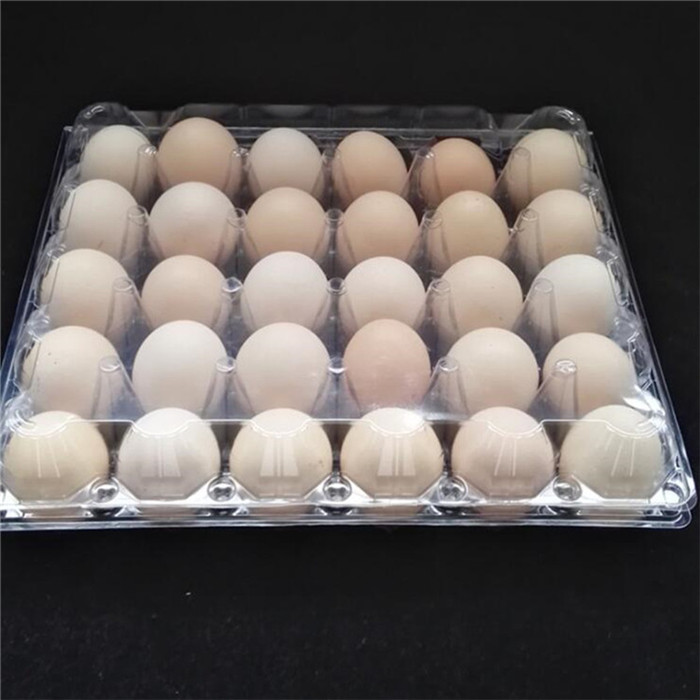 Plastic 30 Eggs Tray