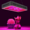 Phlizon Двойные чипсы Led Grow Light 600 Вт