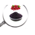 Cranberry Extract powder PAC 5% 10%