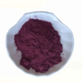 Black wolfberry fruit powder bulk raw materials
