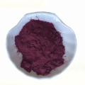 Black Wolfberry Fruit Powder Materias primas a granel